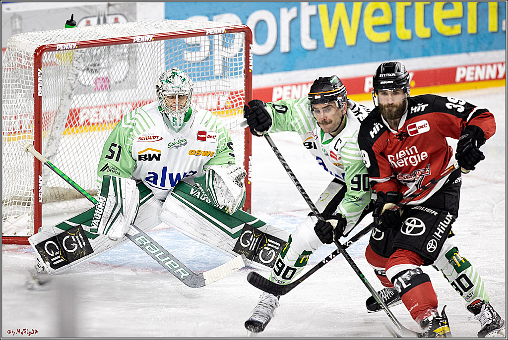 PENNY DEL;  Koelner Haie - Bietigheim Steelers; Koeln, 19.11.2021